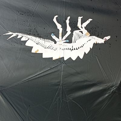 カスタマイズされた印刷 折りたたむ傘 魔法の色変更機能と鋼枠