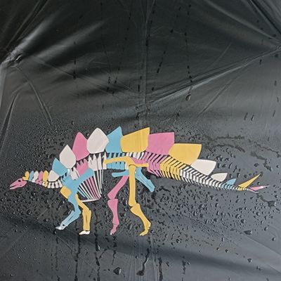 カスタマイズされた印刷 折りたたむ傘 魔法の色変更機能と鋼枠